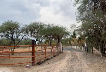 Rancho en  Ciudad Villa De Reyes, Villa De Reyes, San Luis Potosí