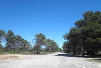 Terreno en  Mont-roig Del Camp, Tarragona Provincia