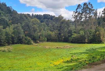 Parcela en  Puerto Varas, Llanquihue