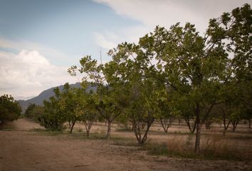 Rancho en  Calle Insurgentes 200, San Antonio, Ramos Arizpe, Coahuila De Zaragoza, 25903, Mex