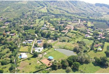 Lote de Terreno en  Palestina, Caldas