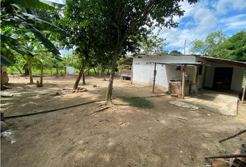 Casa en  Carmen De Apicalá, Tolima