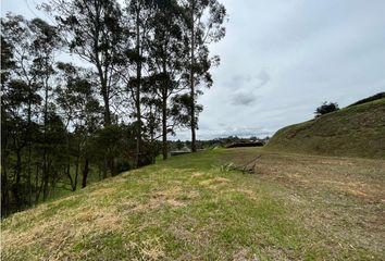 Lote de Terreno en  El Carmen De Viboral, Antioquia