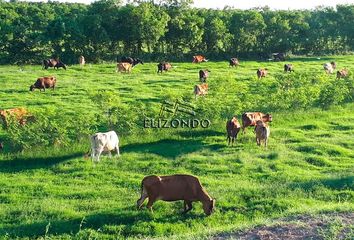 Lote de Terreno en  Petrolera Lázaro Cárdenas, Ebano