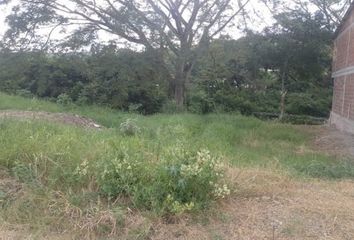 Lote de Terreno en  Garzón, Huila