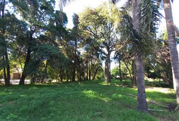 Terrenos en  Susana, Santa Fe