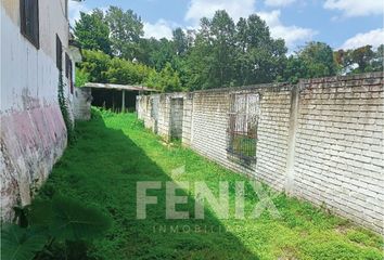 Lote de Terreno en  Calle Quinta De Ignacio Allende, El Porvenir, Coatepec, Veracruz De Ignacio De La Llave, 91500, Mex