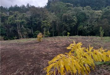 Lote de Terreno en  Villa Del Viento, Popayán