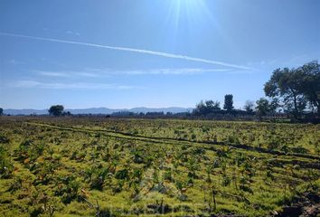 Parcela en  Pelarco, Talca