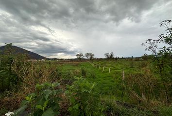 Lote de Terreno en  San Isidro Mazatepec, Tala