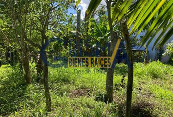 Lote de Terreno en  La Calzada, Tuxpan, Veracruz