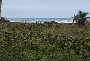 Lote de Terreno en  Tamiahua, Veracruz