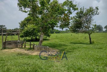 Lote de Terreno en  Cazones De Herrera, Veracruz