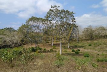 Rancho en  Pueblo Temapache, Alamo Temapache