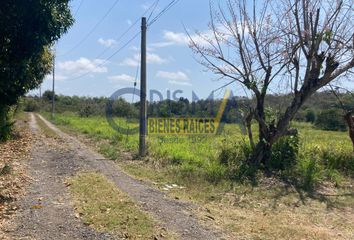 Lote de Terreno en  Llavetuxpan, Veracruz