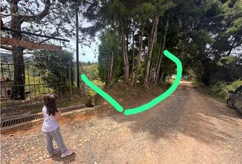 Lote de Terreno en  Guarne, Antioquia