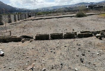 Terreno en  Trapiche (arucas), Palmas (las)