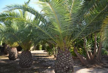 Chalet en  L'eliana, Valencia/valència Provincia