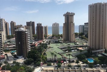 Piso en  Benidorm, Alicante Provincia