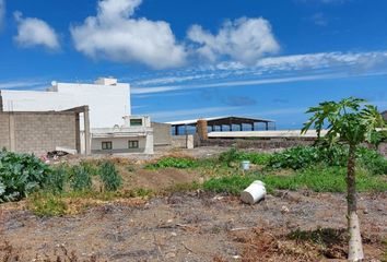 Casa en  Piso Firme, Palmas (las)