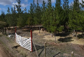 Parcela en  Chépica, Colchagua