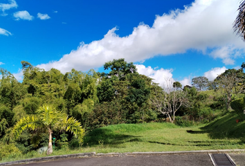 Lote de Terreno en  La Tebaida, Quindío