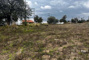 Lote de Terreno en  Club De Golf Los Encinos, Lerma