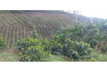 Lote de Terreno en  El Águila, Valle Del Cauca