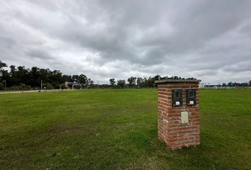 Terrenos en  Máximo Paz, Partido De Cañuelas