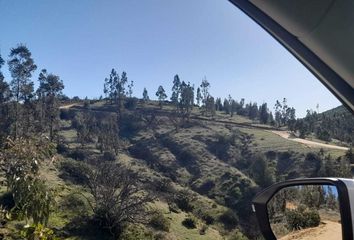 Parcela en  Peralillo, Colchagua