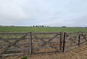 Terrenos en  Intendente Alvear, La Pampa