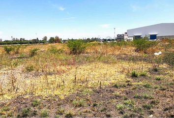 Lote de Terreno en  Ejido San Isidro Del Llanito, Apaseo El Alto