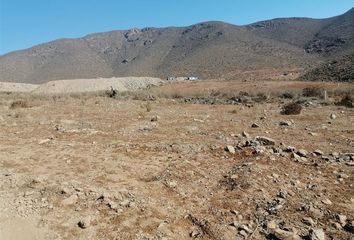 Parcela en  Vicuña, Elqui