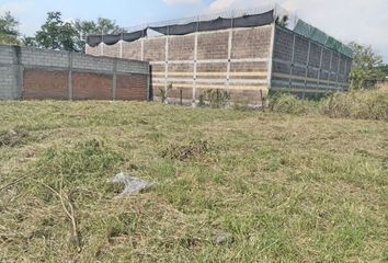 Lote de Terreno en  Calle Marcos Pineda, Tezoquipan Oaxtepec, Yautepec, Morelos, 62738, Mex