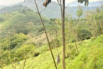 Lote de Terreno en  Córdoba, Quindio