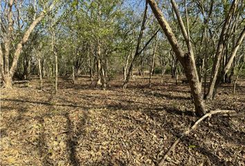 Lote de Terreno en  La Boquilla, Cartagena De Indias