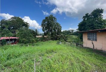 Lotes y Terrenos en  Pedregal, Ciudad De Panamá