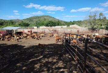 Rancho en  Calkiní, Campeche, Mex