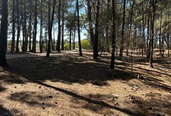 Terrenos en  Otro, Monte Hermoso