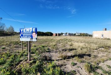 Terrenos en  General Cerri, Partido De Bahía Blanca