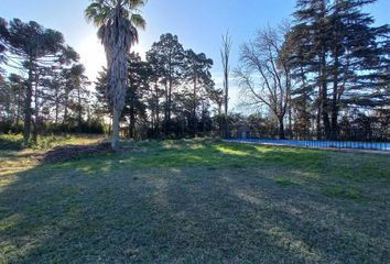 Quinta/Finca en  Río Cuarto, Córdoba