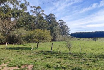 Terrenos en  Villa Elisa, Entre Ríos