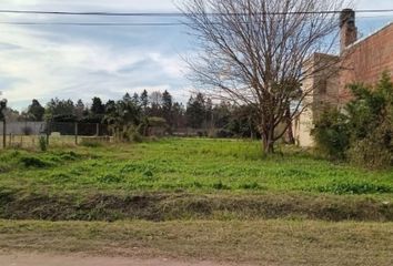 Terrenos en  Puerto Roldán, Roldán