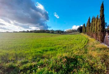 Terreno en  Brunete, Madrid Provincia