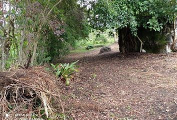 Lote de Terreno en  Curití, Santander