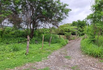 Lote de Terreno en  Apazapan, Veracruz