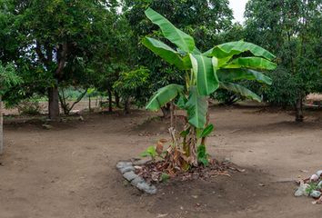 Lote de Terreno en  El Pescadero, La Paz