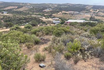 Lote de Terreno en  Gómez Morín, Ensenada