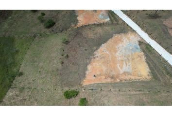 Lote de Terreno en  San Vicente, Antioquia