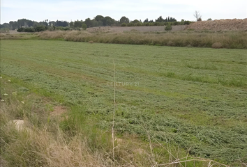 Terreno en  La Pobla De Vallbona, Valencia/valència Provincia